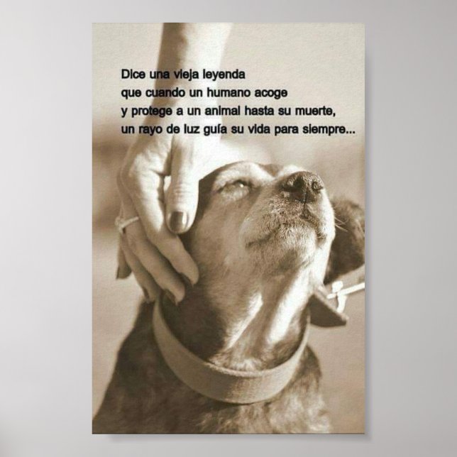 Leyenda sobre adoptar animales poster (Vorne)