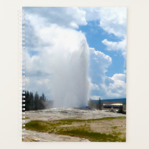 LG Planner Alter feiner Geyser Planer