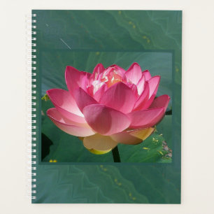 LG Planner Pink Lotus Planer