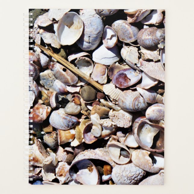 LG Planner Seashells Planer (Vorderseite)