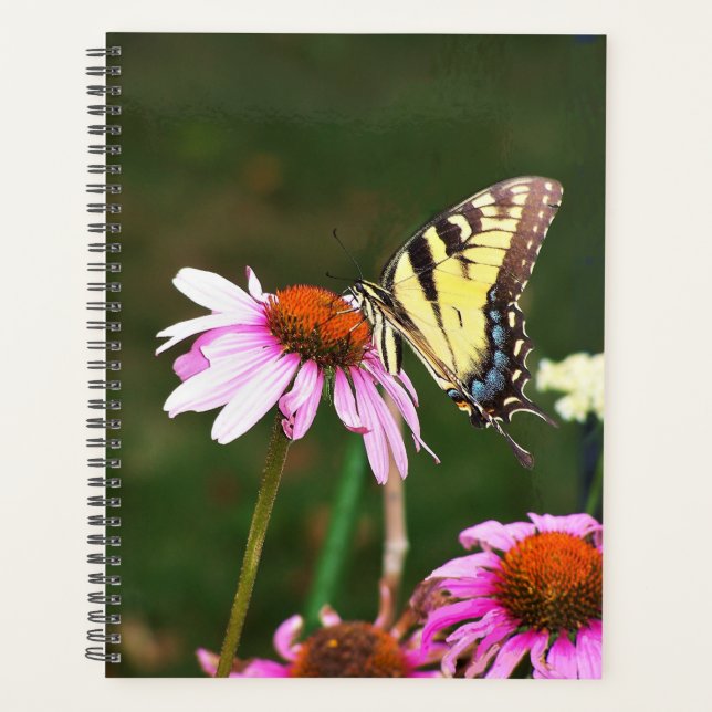 LG Planner Tiger Frack auf der Speiseröhre Planer (Vorderseite)