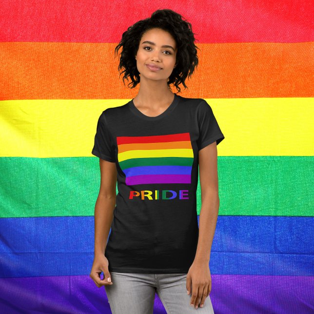 LGBT Pride Rainbow Flag & Text Women T-Shirt (LGBT Pride Rainbow Flag T-Shirt)