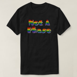 LGBT-Prix-Glitzer ist keine Phase T-Shirt
