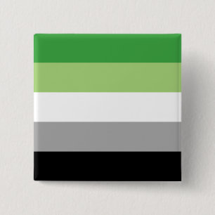 LGBTQ-Flag für Aromatiker Button