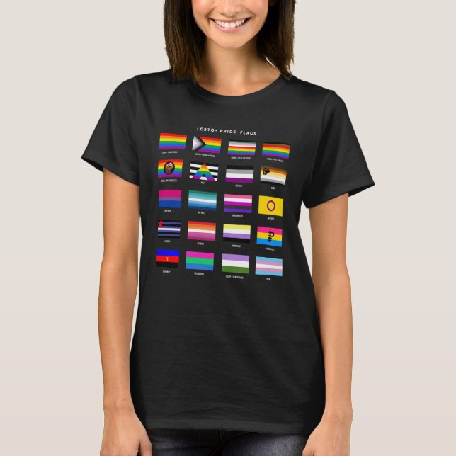 LGBTQ+-Flag-Guide T-Shirt (Vorderseite)