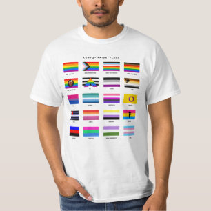LGBTQ+-Flag-Guide T-Shirt