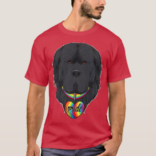 LGBTQ Flag I Gay Pride Flag I Newfoundland  T-Shirt