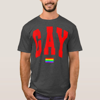 LGBTQ Pride Graphic Rainbow Flag Human Rights Wome T-Shirt
