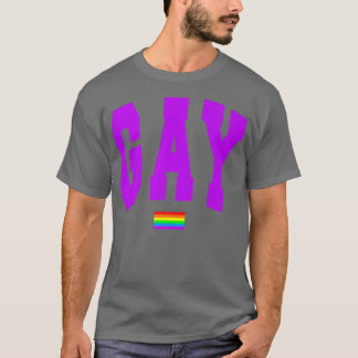 LGBTQ Pride Graphic Rainbow Flag Human Rights Wome T-Shirt