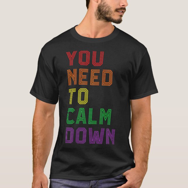 LGBTQ Rainbow Equality You Need To Calm Down Gay P T-Shirt (Vorderseite)