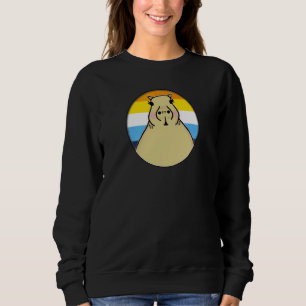 Lgbtqia+ Capybara Im Aroace-Stolz-Regenbogenkreis  Sweatshirt