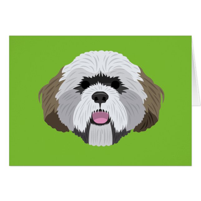 Lhasa Apso (Vorderseite (Horizontal))