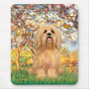 Lhasa Apso 9 - Frühling Mousepad