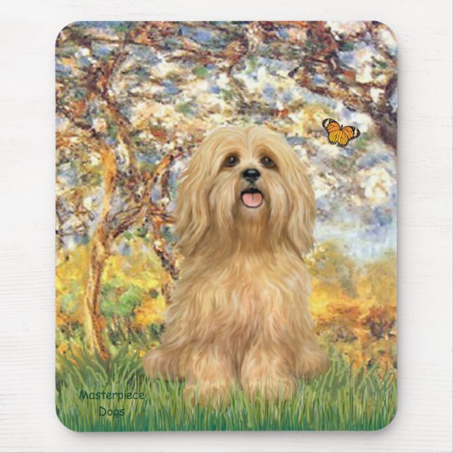 Lhasa Apso 9 - Frühling Mousepad (Vorne)
