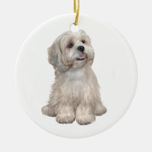 Lhasa Apso (C) - Hellgold Keramik Ornament