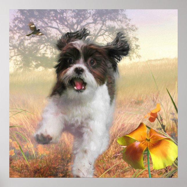 Lhasa Apso Dog HIGH SCHWANZ ZUHAUSE Poster (Vorne)