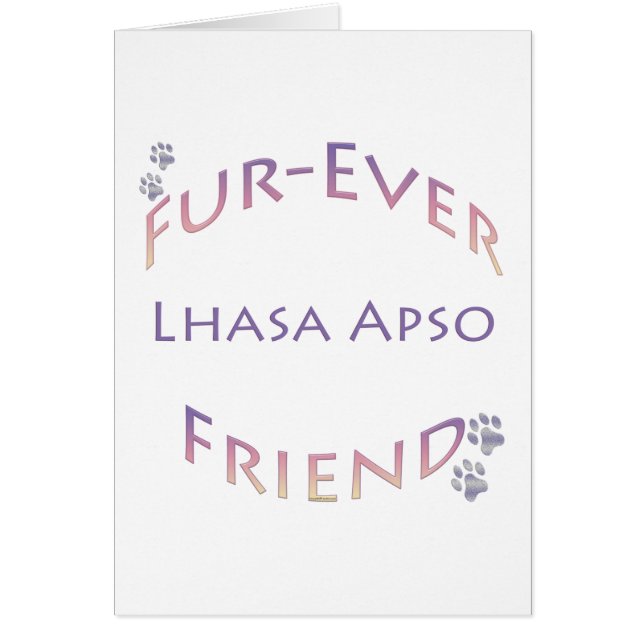 Lhasa Apso Furever (Vorne)