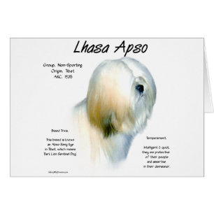 Lhasa Apso History Design