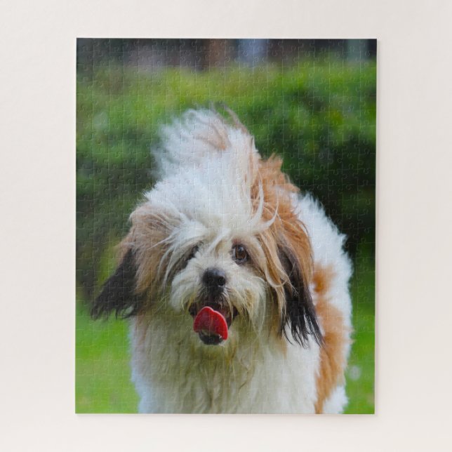 Lhasa Apso Hund Breed. Puzzle (Vertikal)