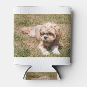Lhasa Apso Hund Dosenkühler