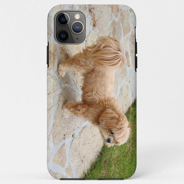 Lhasa Apso Hund im Garten Case-Mate iPhone Hülle (Rückseite)