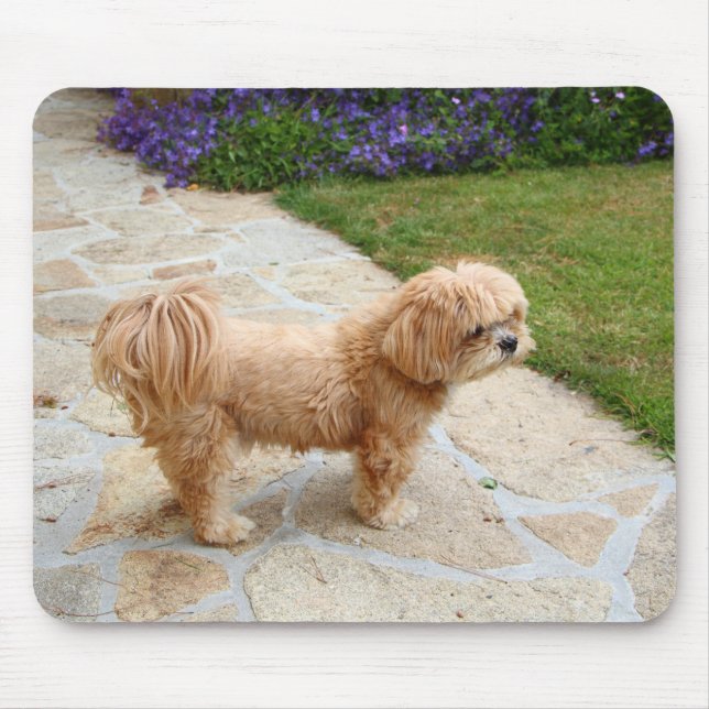 Lhasa Apso Hund im Garten Mousepad (Vorne)