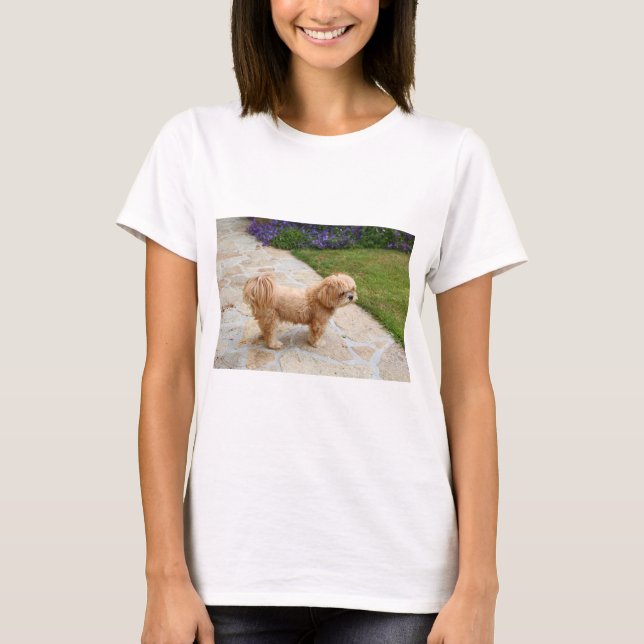 Lhasa Apso Hund im Garten T-Shirt (Vorderseite)