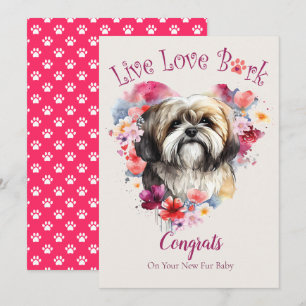 Lhasa Apso Hundeadoption, Gotcha Tag Karte