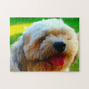Lhasa-Apso-Hundrasse. Puzzle