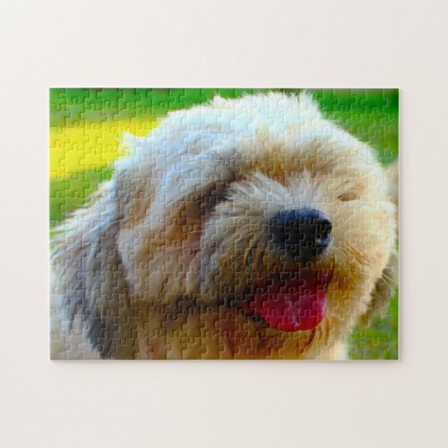Lhasa-Apso-Hundrasse. Puzzle (Horizontal)