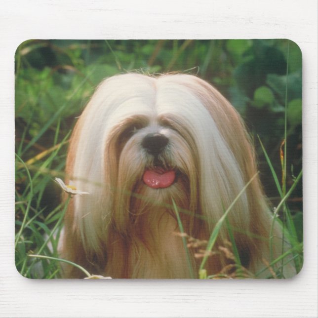 Lhasa Apso Mousepad (Vorne)