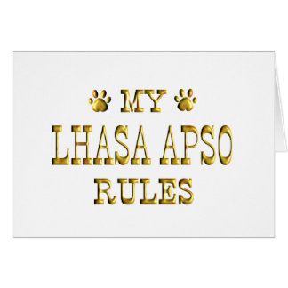 Lhasa Apso ordnet Gold an
