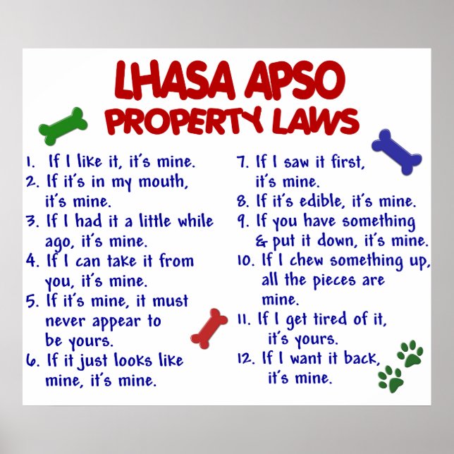 LHASA APSO PL2 POSTER (Vorne)