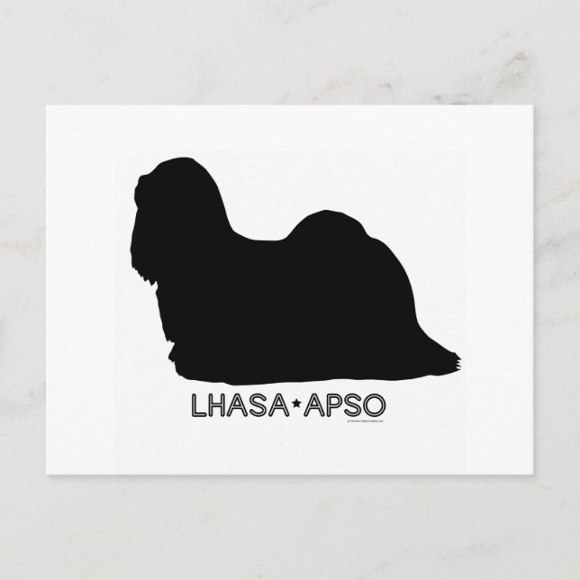 Lhasa Apso Postcard Postkarte (Vorderseite)