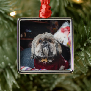 Lhasa apso puppy at Christmas b Ornament Aus Metall