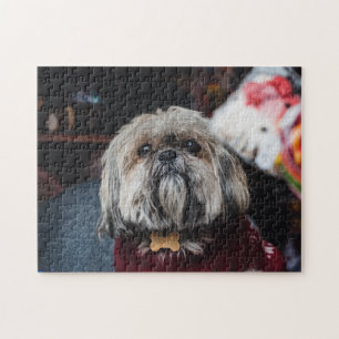 Lhasa apso puppy at Christmas b Puzzle