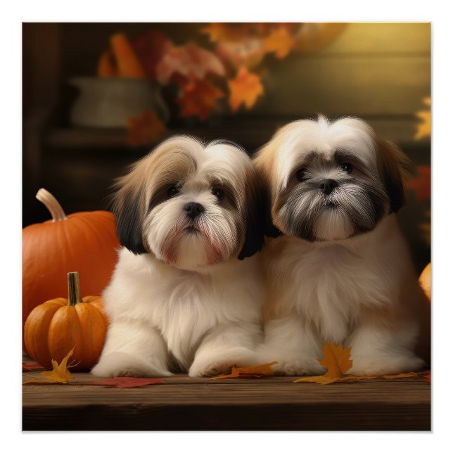 Lhasa Apso Puppy Autumn Delight Pumpkin Poster (Vorderseite)