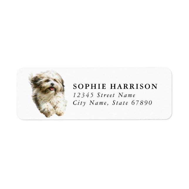 Lhasa Apso Rücksendeadressetiketten (Vorne)