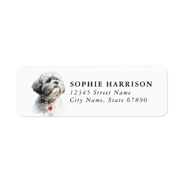 Lhasa Apso Rücksendeadressetiketten (Vorne)