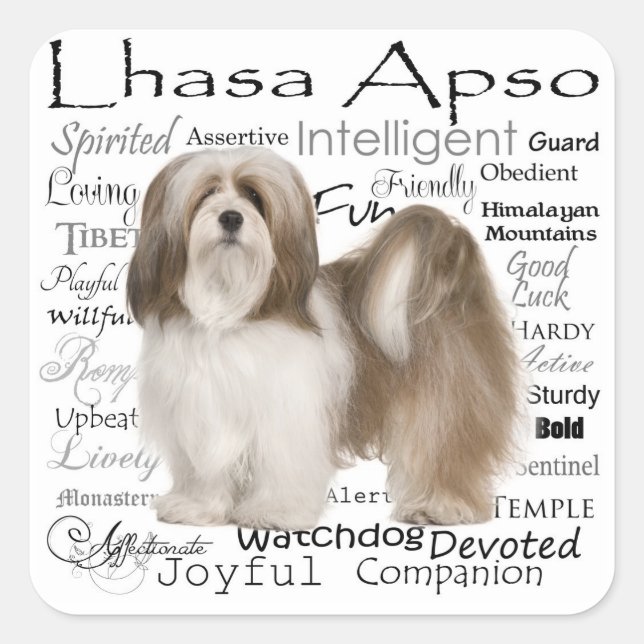 Lhasa Apso Stickers (Vorderseite)