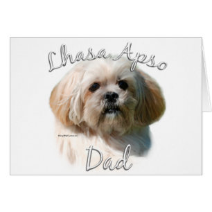 Lhasa Apso Vater 2