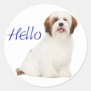 Lhasa Apso Welpenhund Aufkleber / Etikett