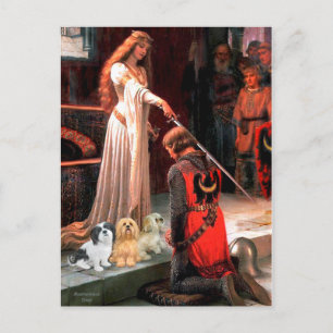 Lhasa Apsos (drei) - The Accolade Postkarte