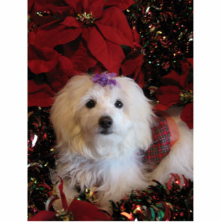 LhasaPoo Freistehende Fotoskulptur