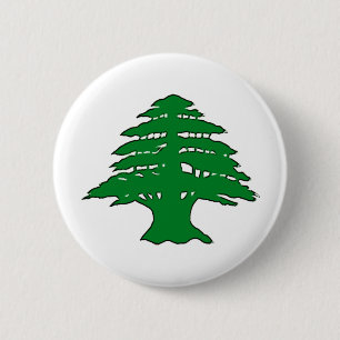Libanesische Zeder Button