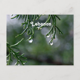 Libanon Postkarte