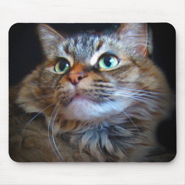 libby Katze mousepad (Vorne)