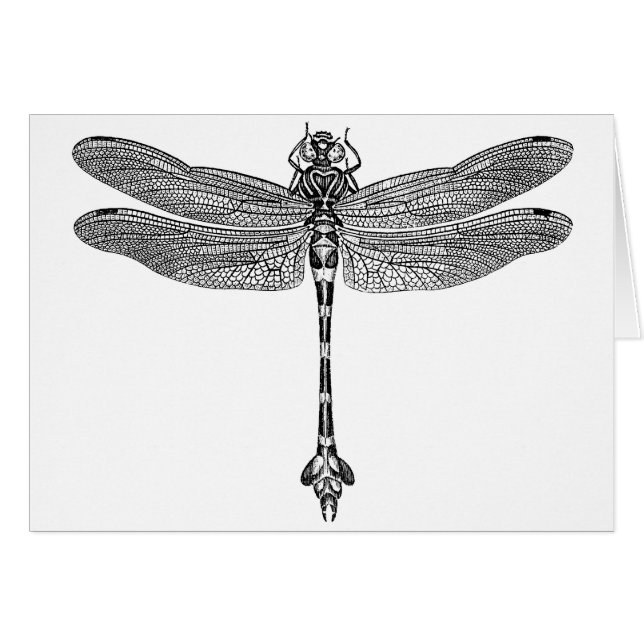 Libelle (Vorderseite (Horizontal))