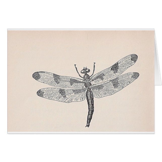 Libelle (Vorderseite (Horizontal))