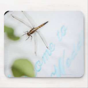 Libelle 4 mousepad